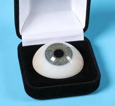 常见问题解答支持